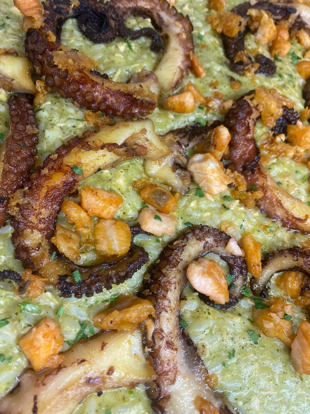 Risotto with zucchini cream, salmon and octopus